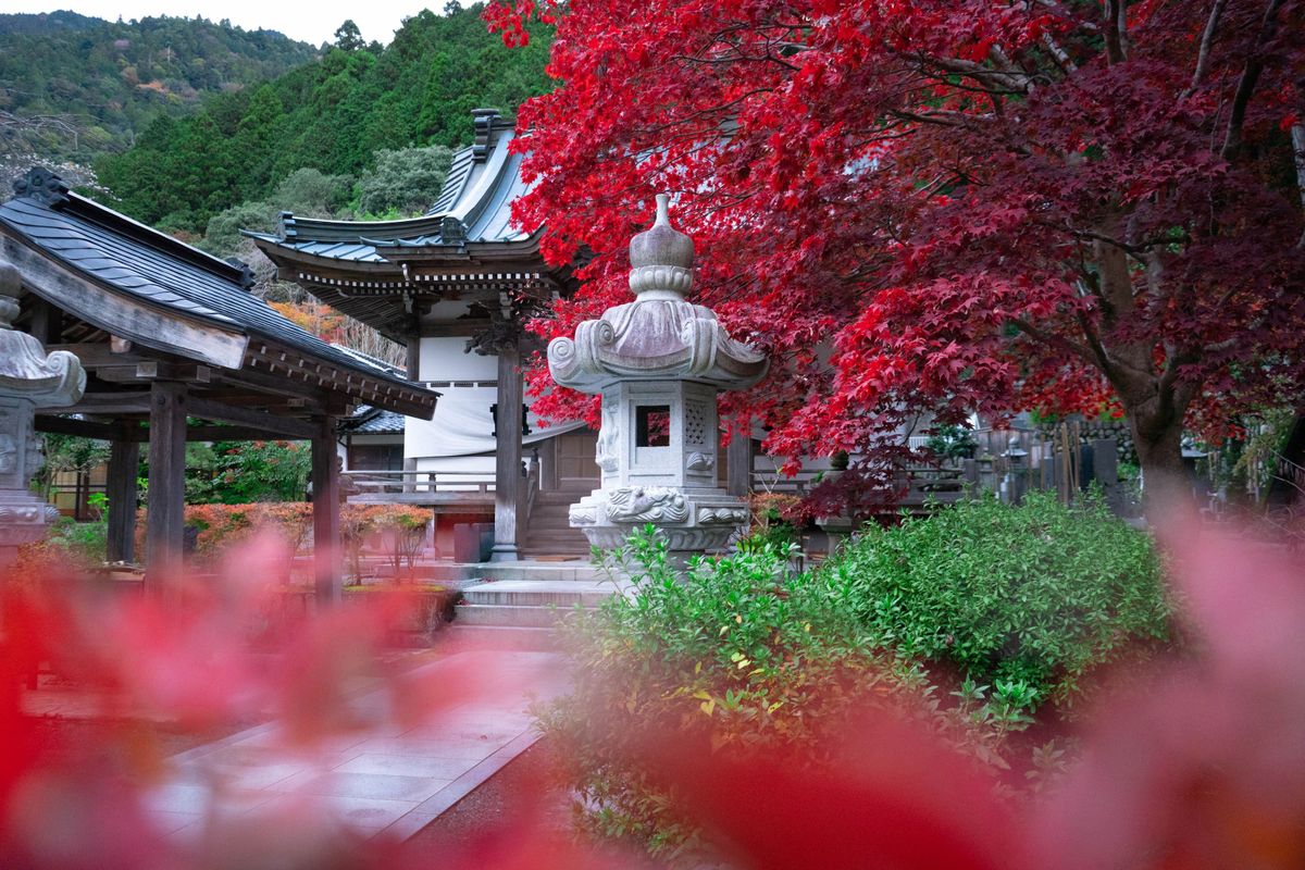 和風庭園の石灯籠