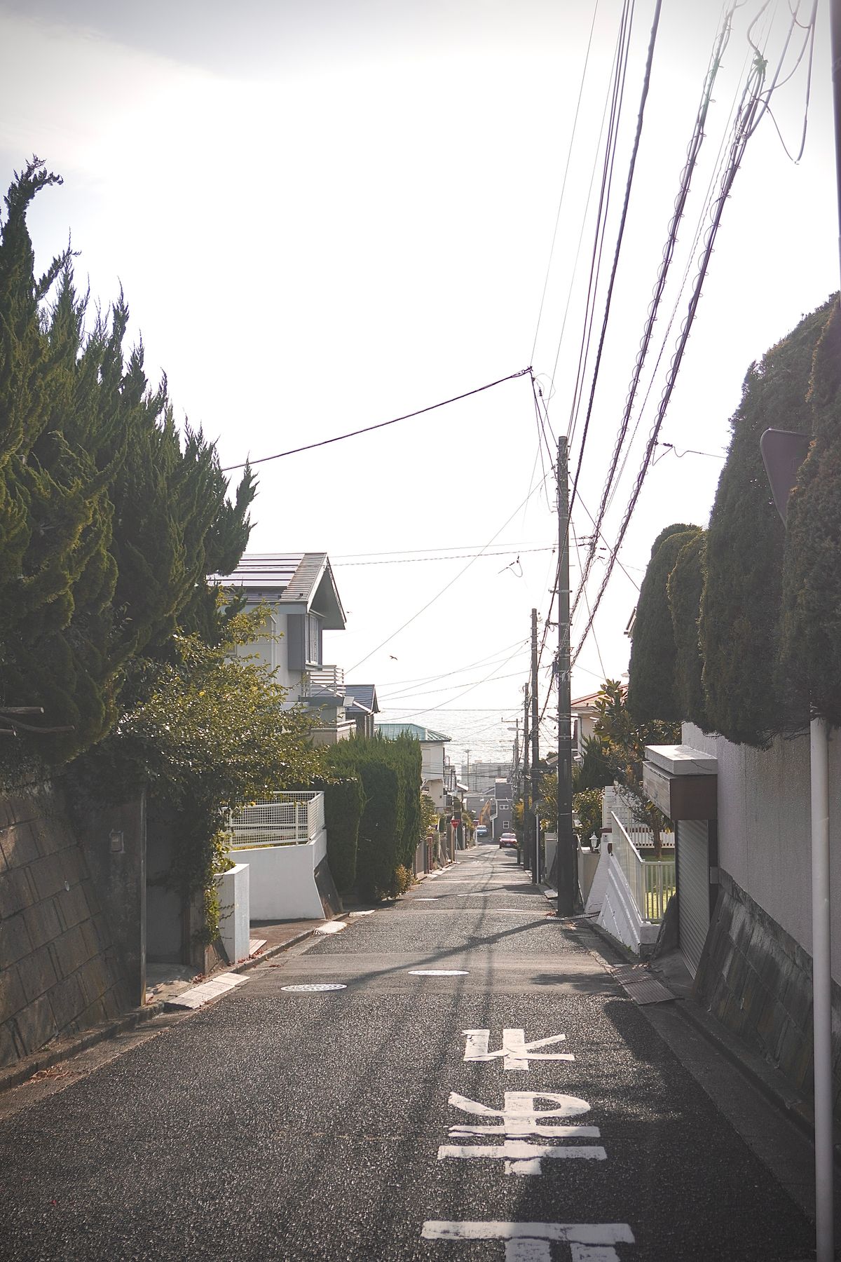 緑豊かな住宅街の風景